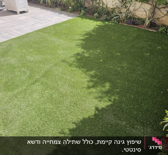 דשא ירוק עם צמחים מסביב בגינה